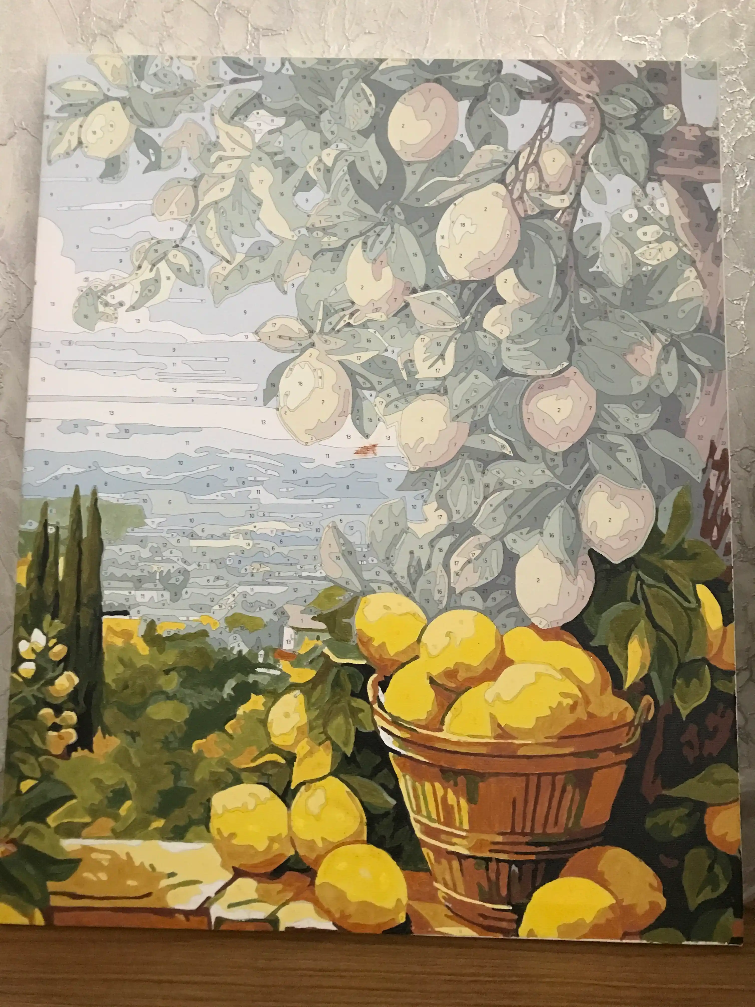 Raqam bo'yicha rasm Skystore "Natyurmort va gullar", ramkaga tortilgan, 40 * 50 sm