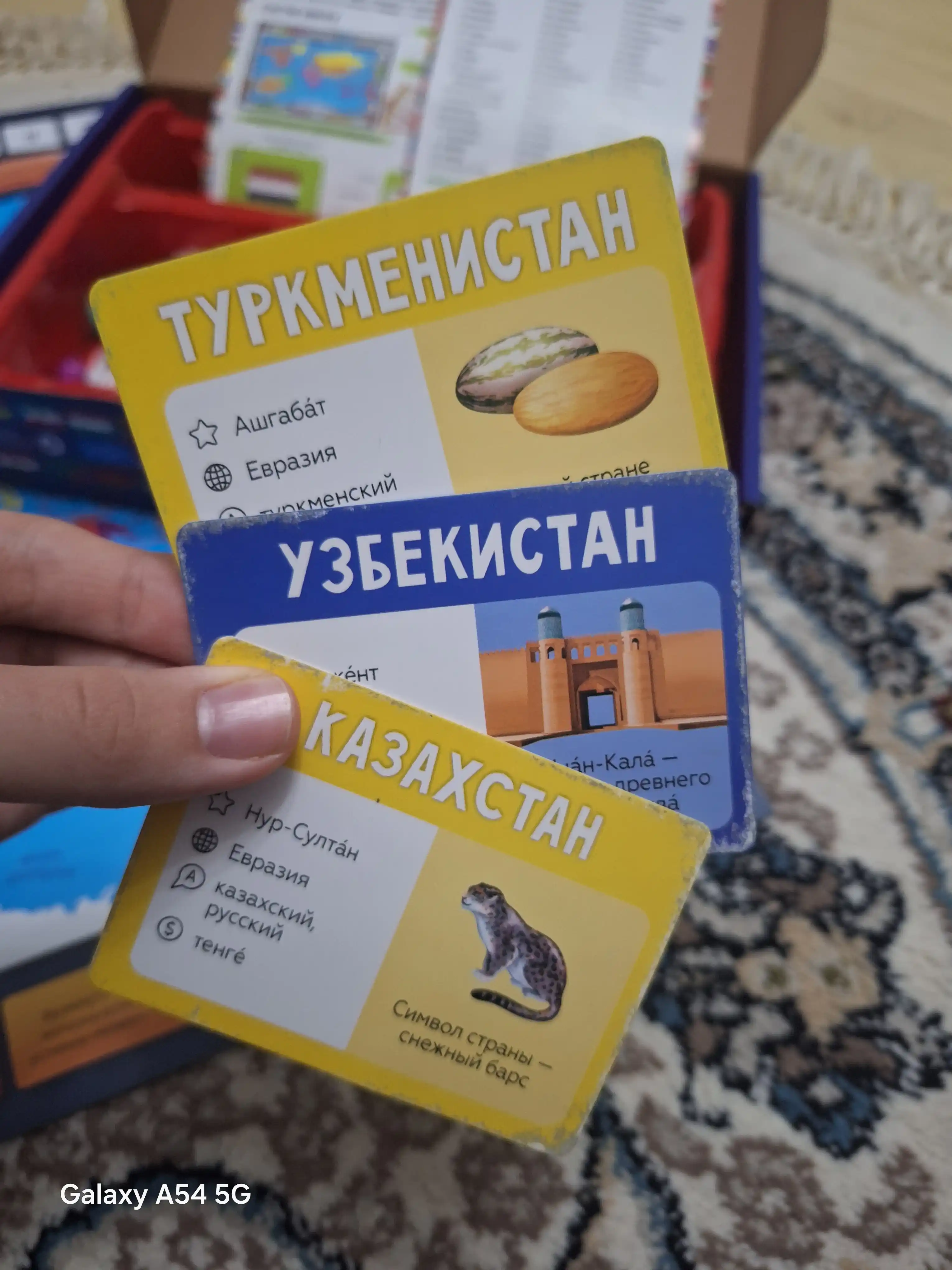 Мегафлагомания настольная игра. Мега флагомания изучай флаги и страны мира с детьми