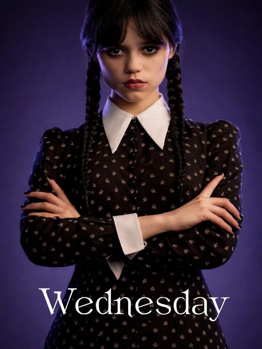 Wednesday poster plakatlar, laminatlangan, A4 formatli - 