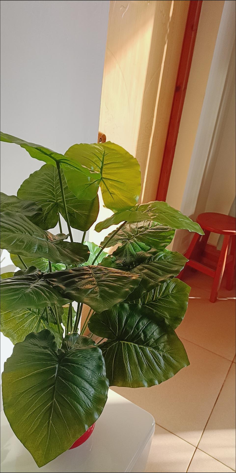 Uy,ofis,interyer uchun sunʼiy dekorativ,gullar,silikon bargli,sovgʻa, bezak va dekor uchun