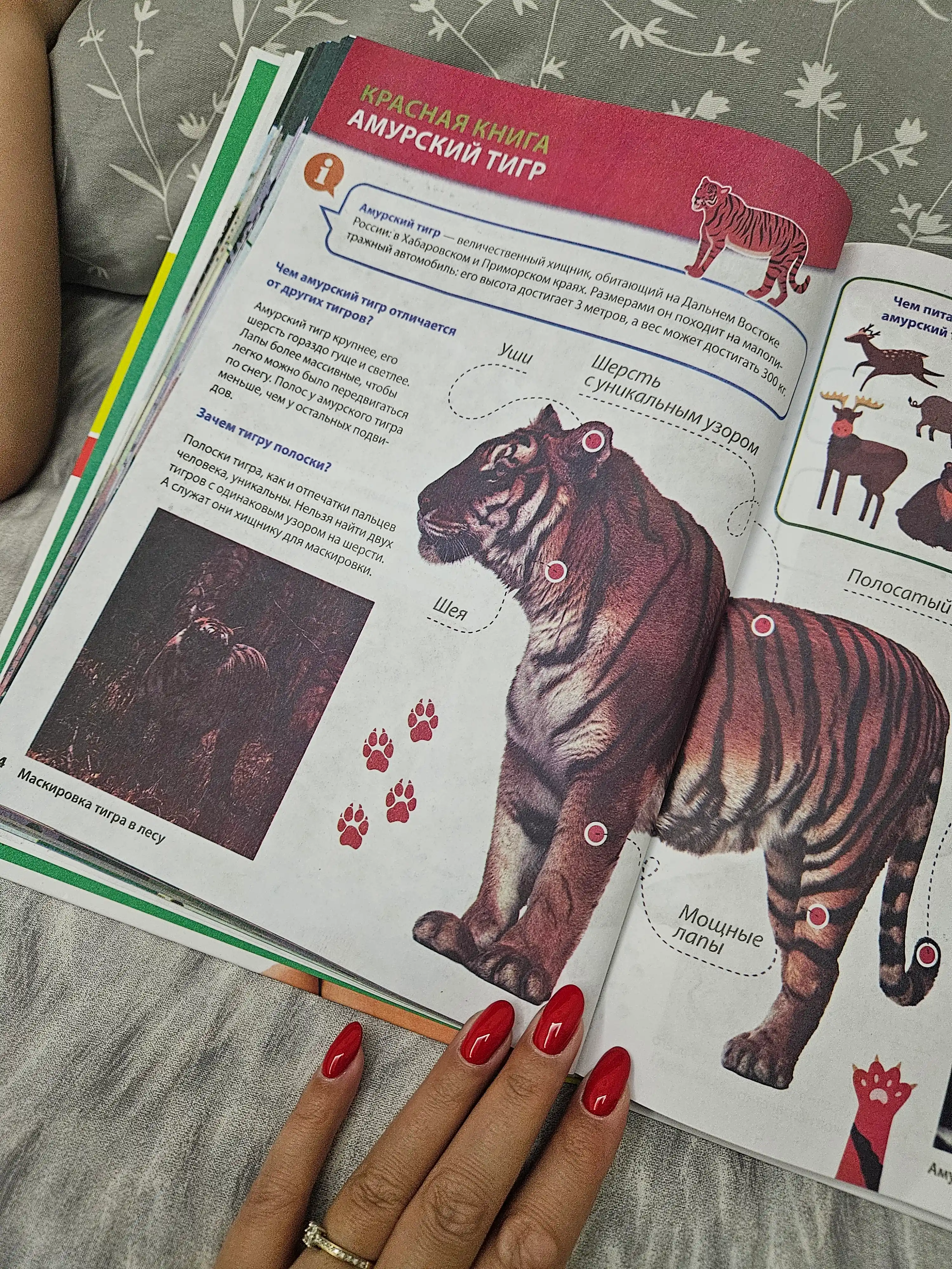 Bol'shaya ensiklopediya obo vsem