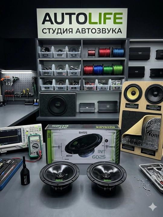 Inteltouch INT6025 16.5 sm Midbass avtomobil karnaylari