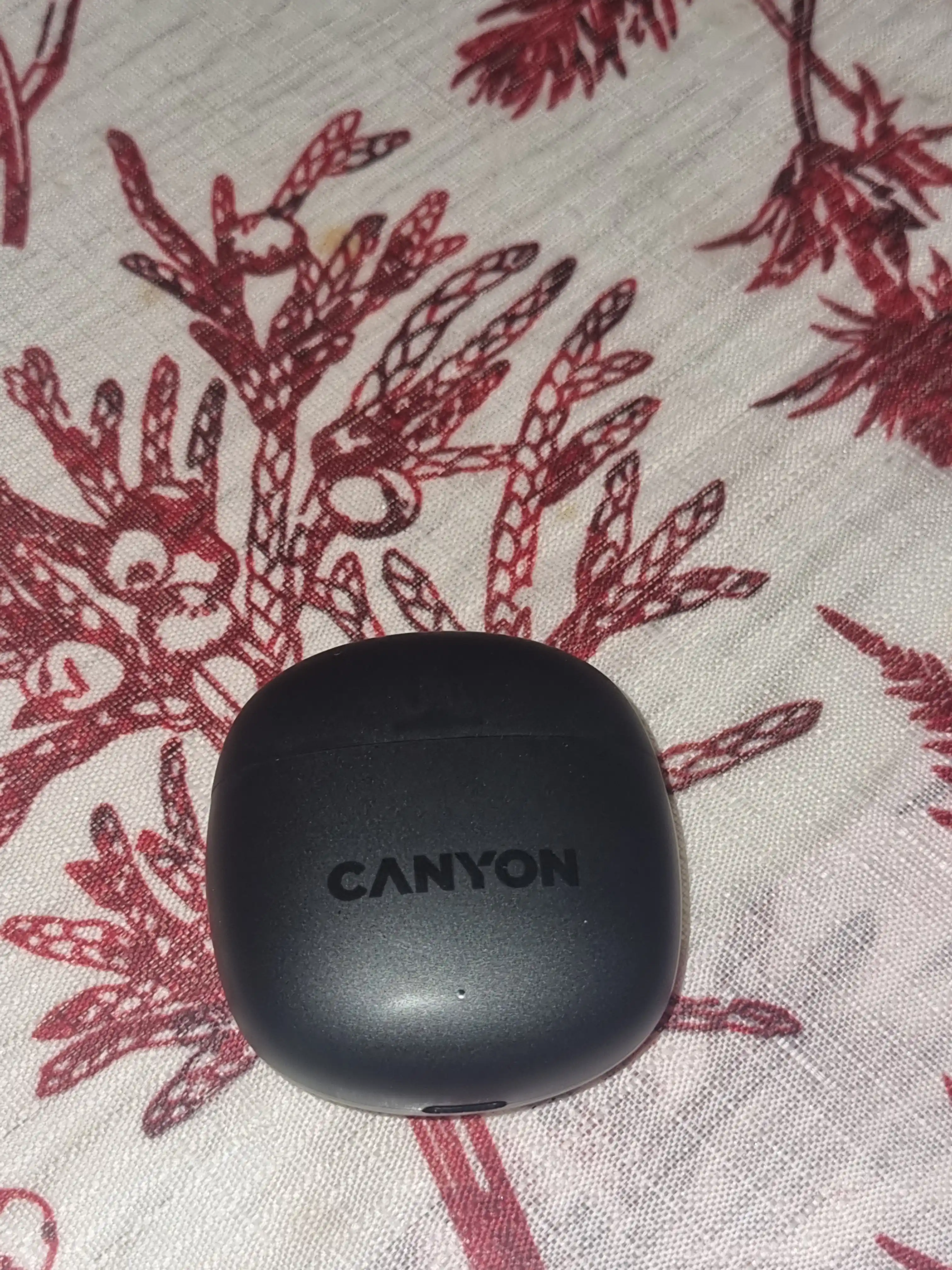 Наушники беспроводные CANYON OnGo 13
