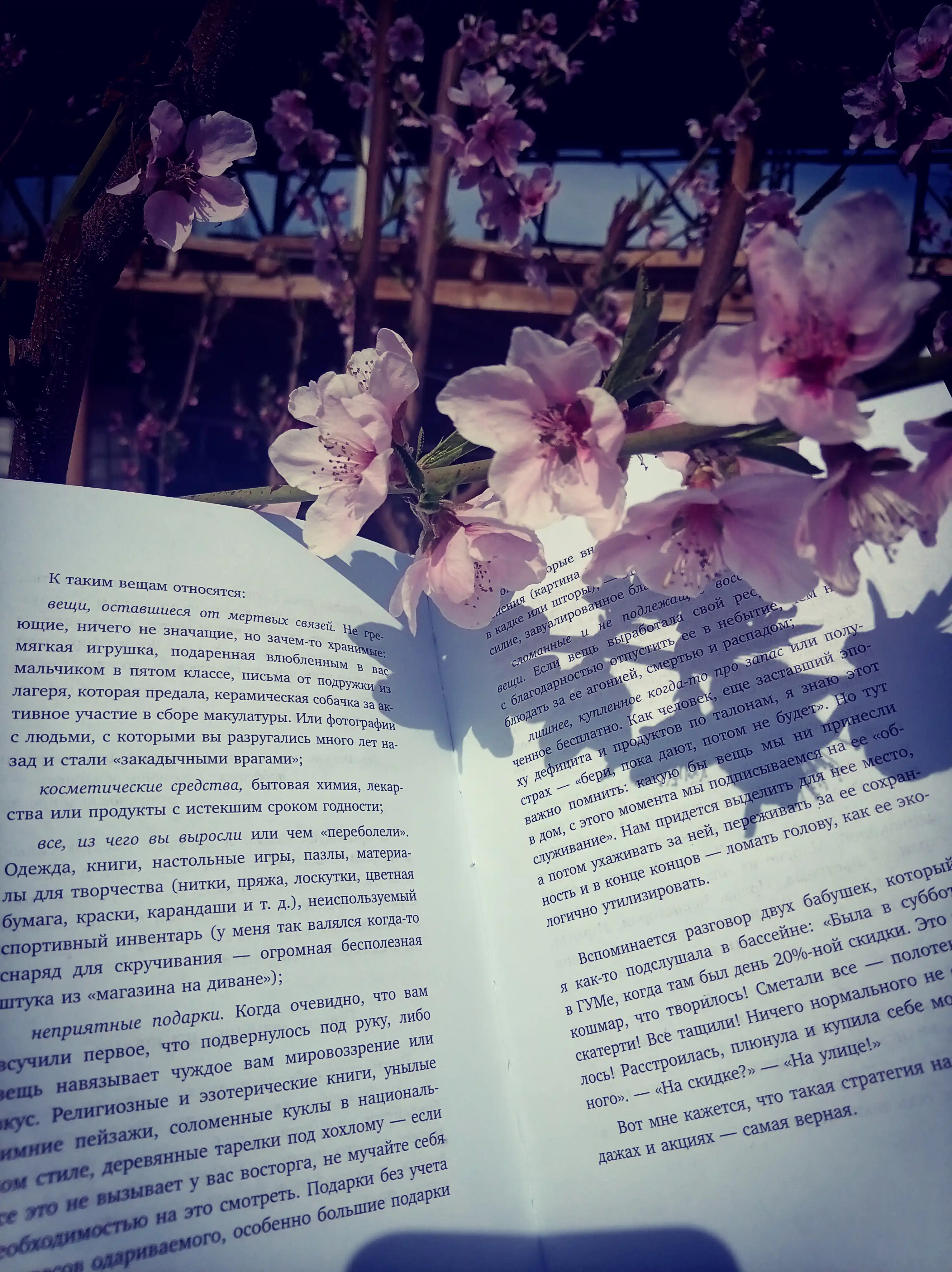 K sebe nejno, Olga Primachenko