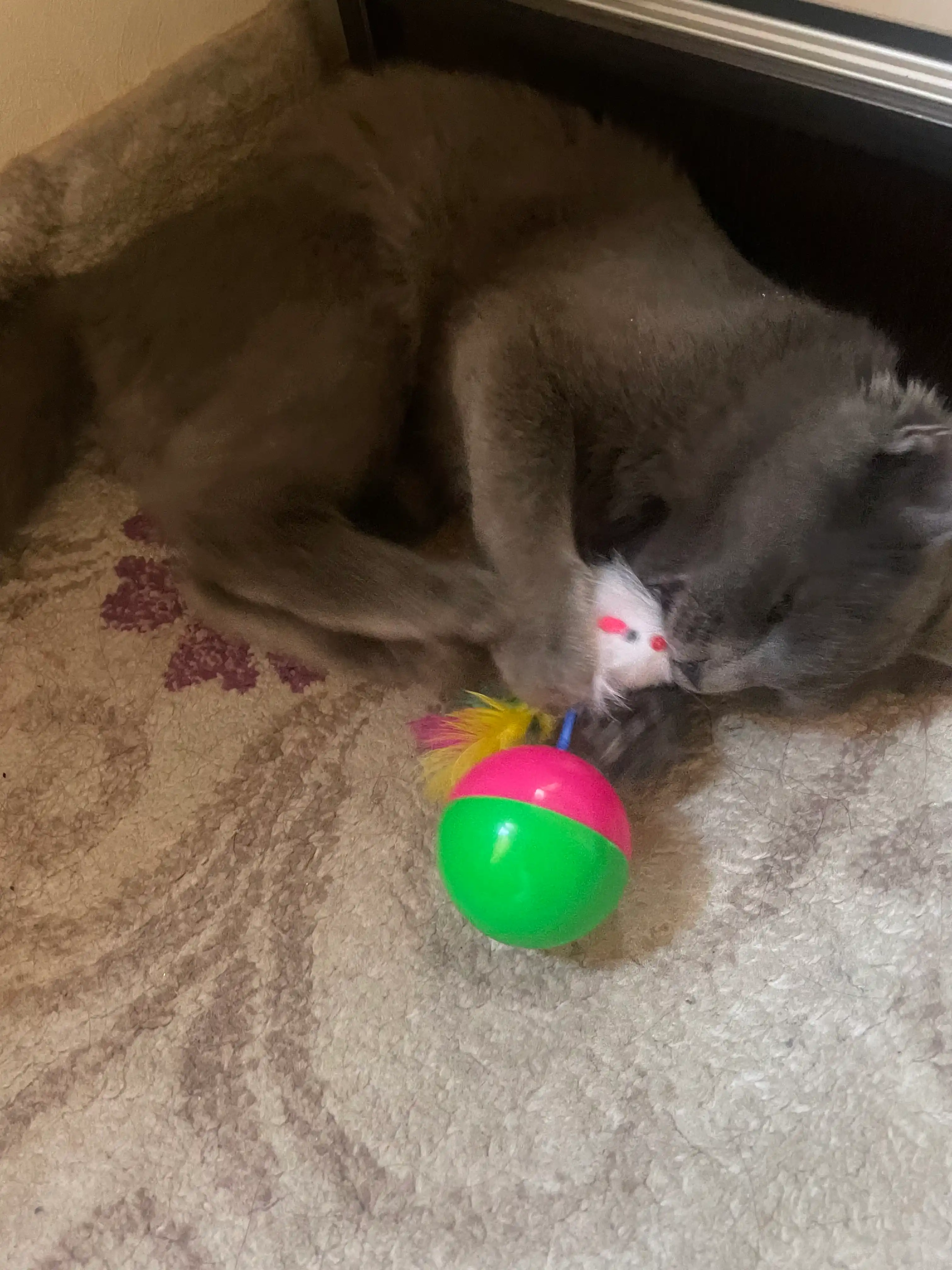 Игрушка для кошек неваляшка BOBRIKGORA, с мышкой и перьями, 12 см