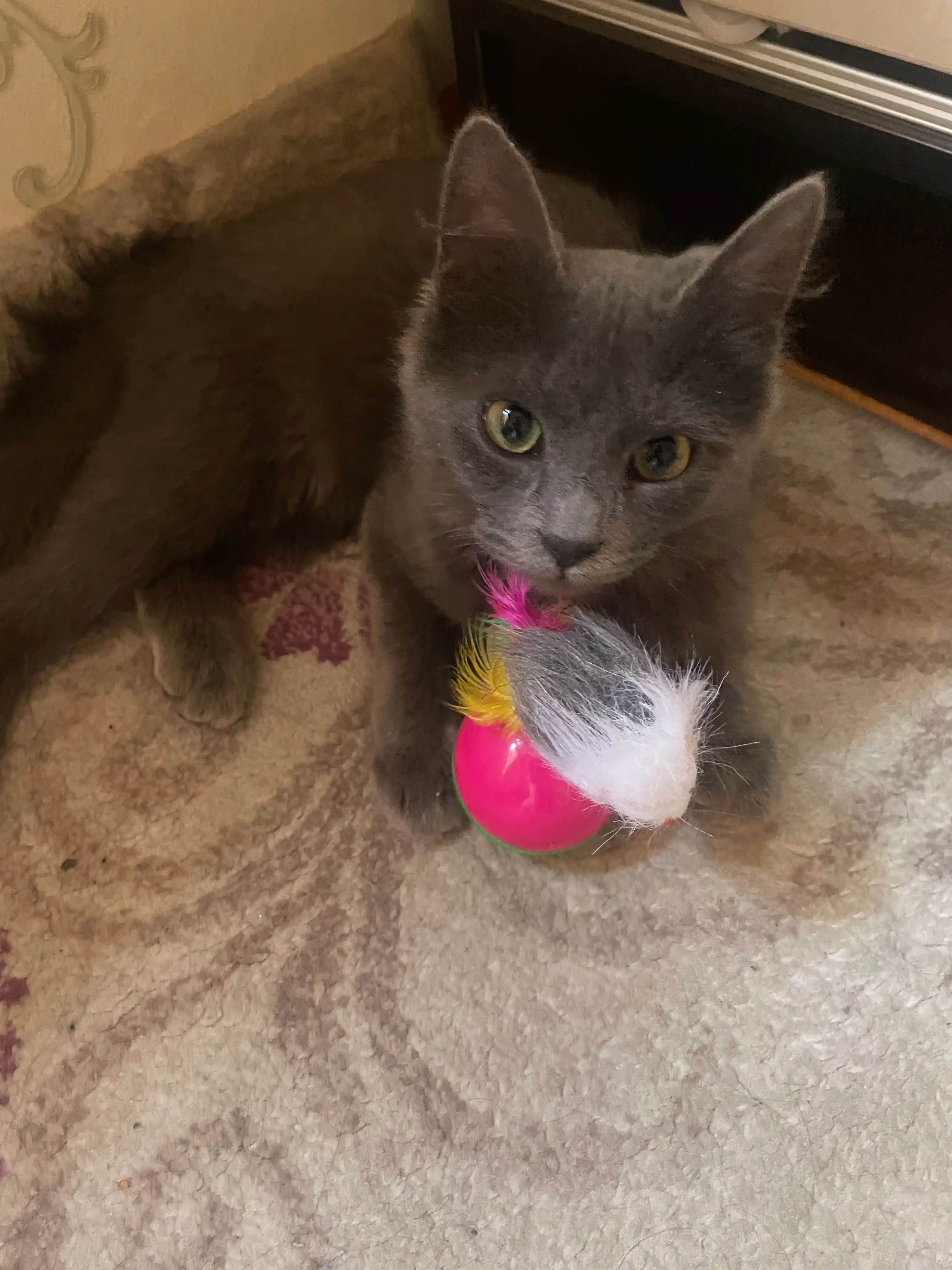 Игрушка для кошек неваляшка BOBRIKGORA, с мышкой и перьями, 12 см