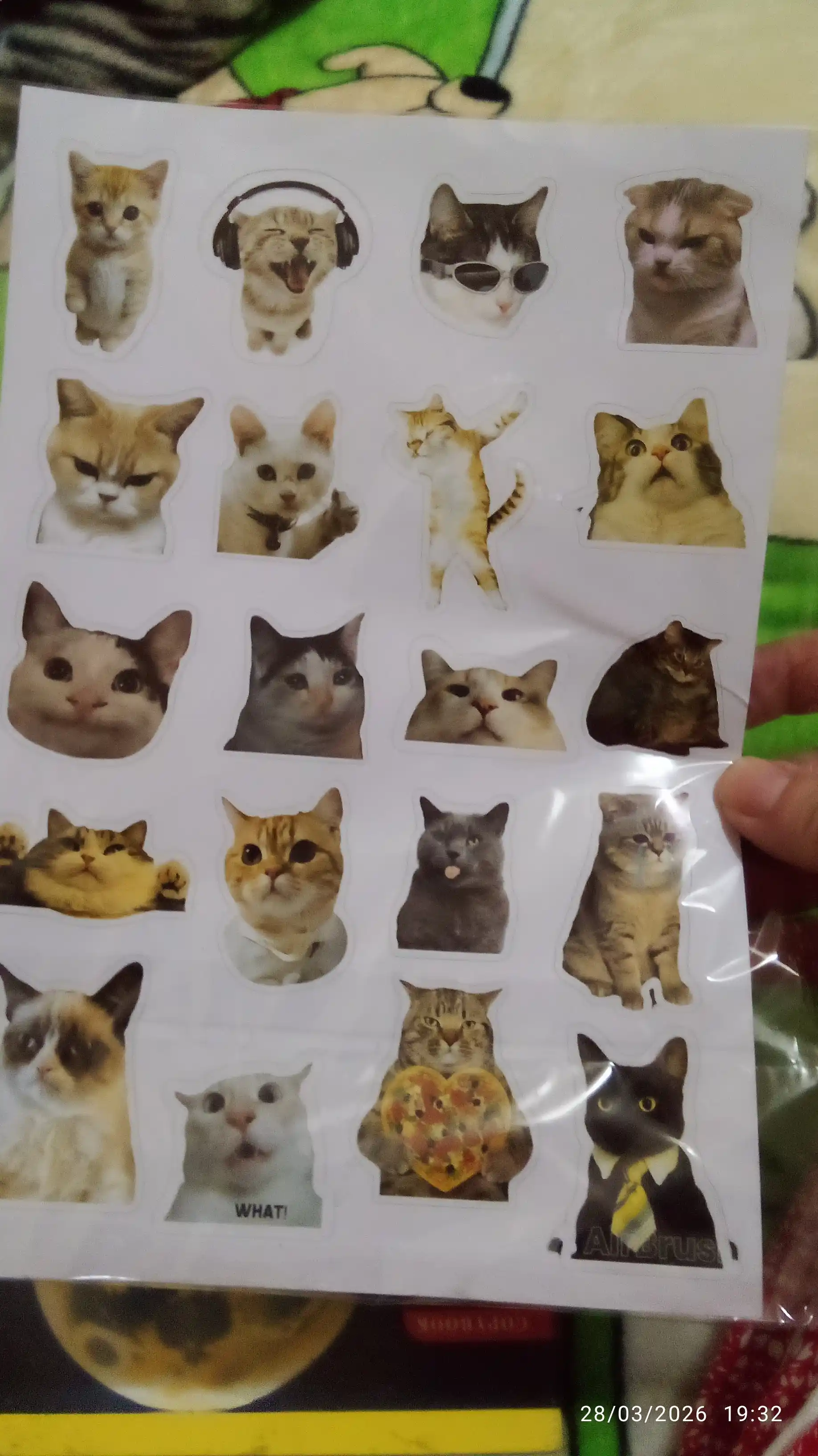 Стикеры смешных котят