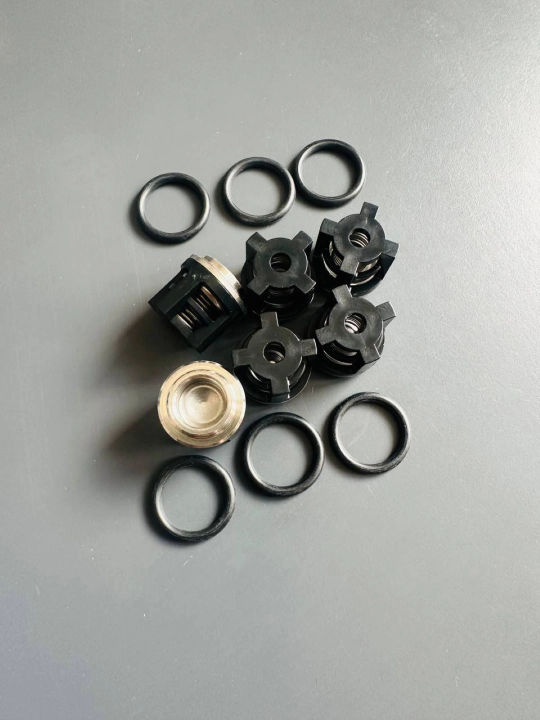 Комплект клапанов для насоса Annovi Reverberi (valve kit) + уплотнительные кольца
