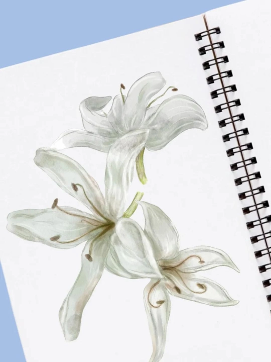 Sketchbuk, usti taxtali oq sketchbuk, qora rangli sketchbuk