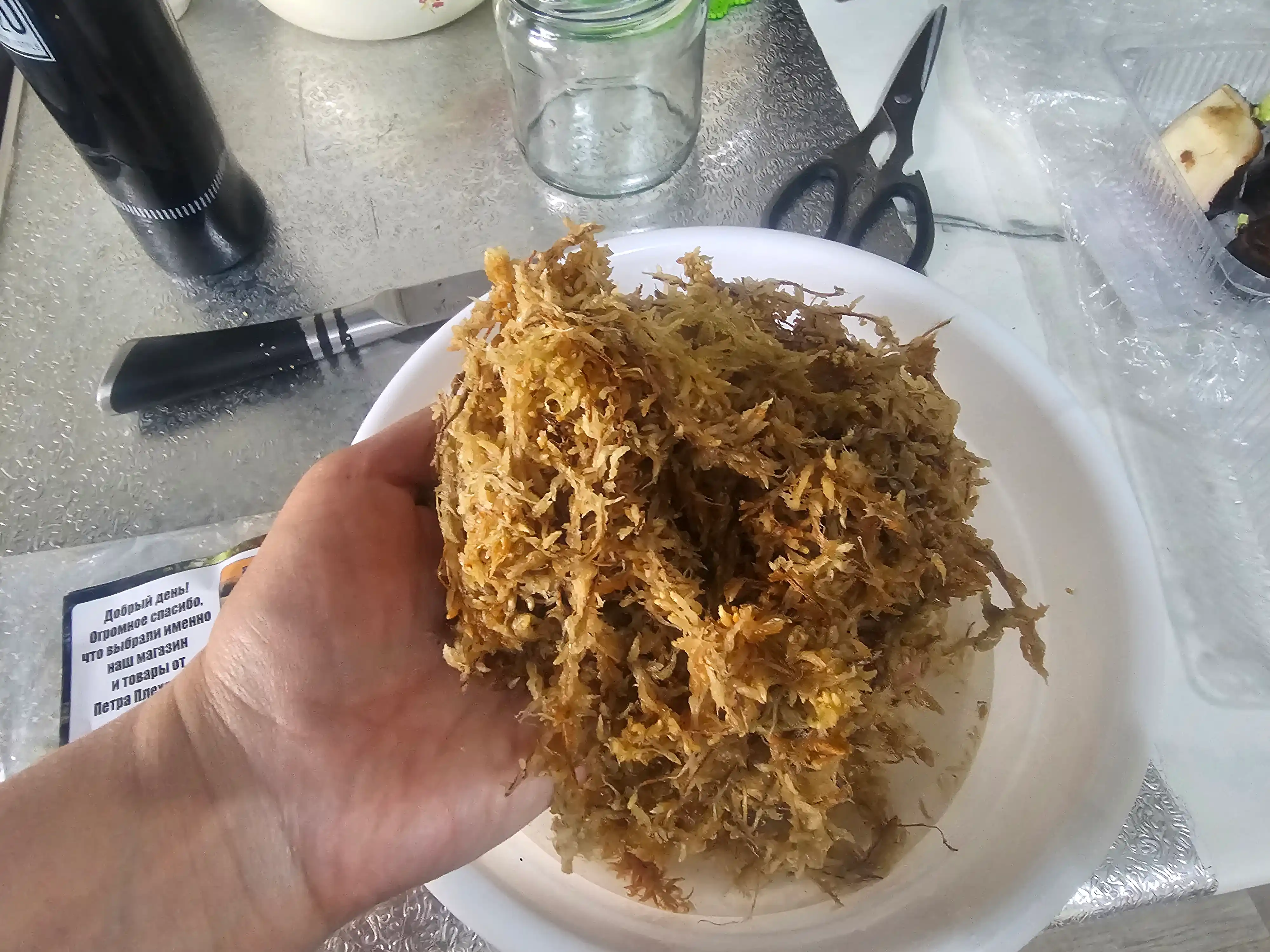 Прессованный мох сфагнум Spagmos от Плеханова для орхидей, тропических и других растений