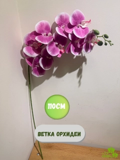 Белый