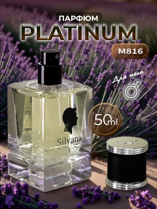 Парфюмерная вода Chanel Egoiste Platinum, Silvana №816, 50 мл - 