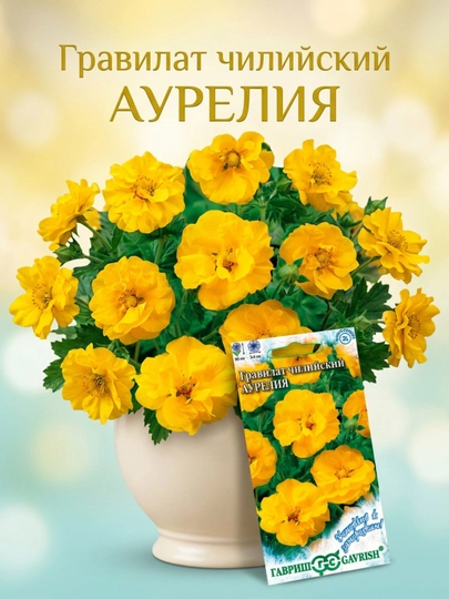 Семена Гравилат, чилийский Аурелия, 0,05 гр, Гавриш, устойчив к заморозкам — GAVRISH-ГВ00015