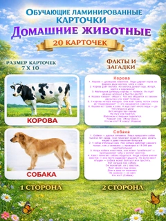 Зеленый