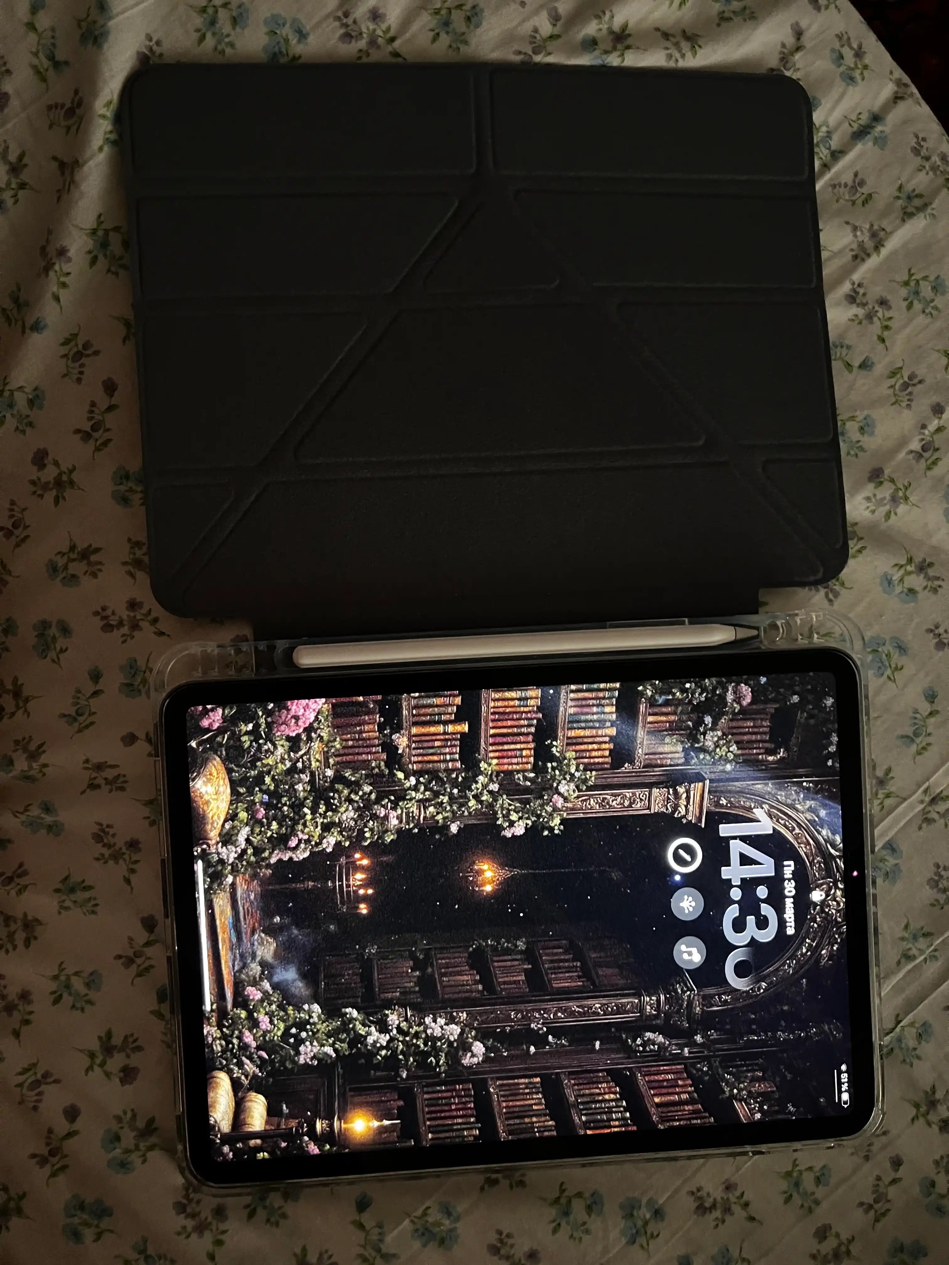 Чехол для планшетов iPad Pro 11" 18/20/21/22/24, iPad Pro 12,9 18/20/21/22/24