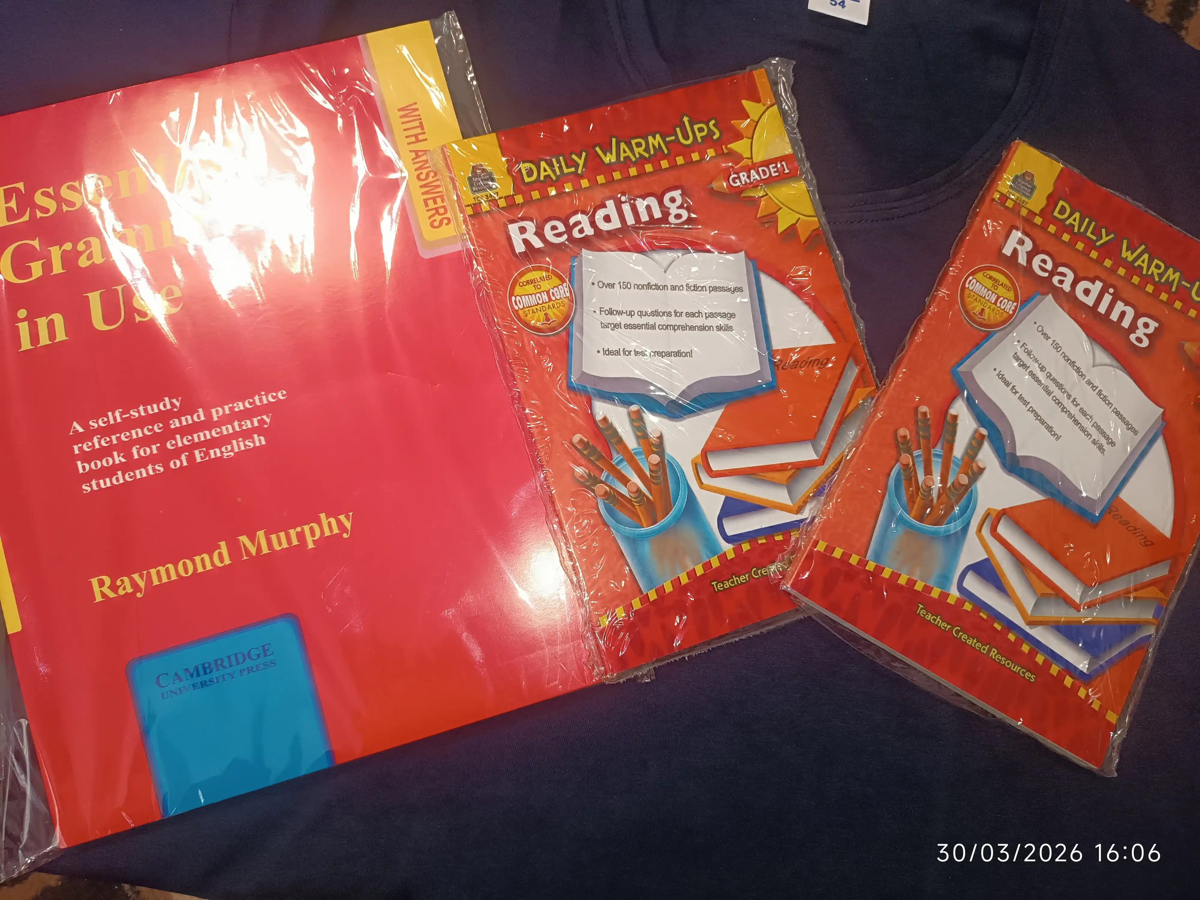 Raymond Murphy, Essential Grammar in Use / English Grammar in Use