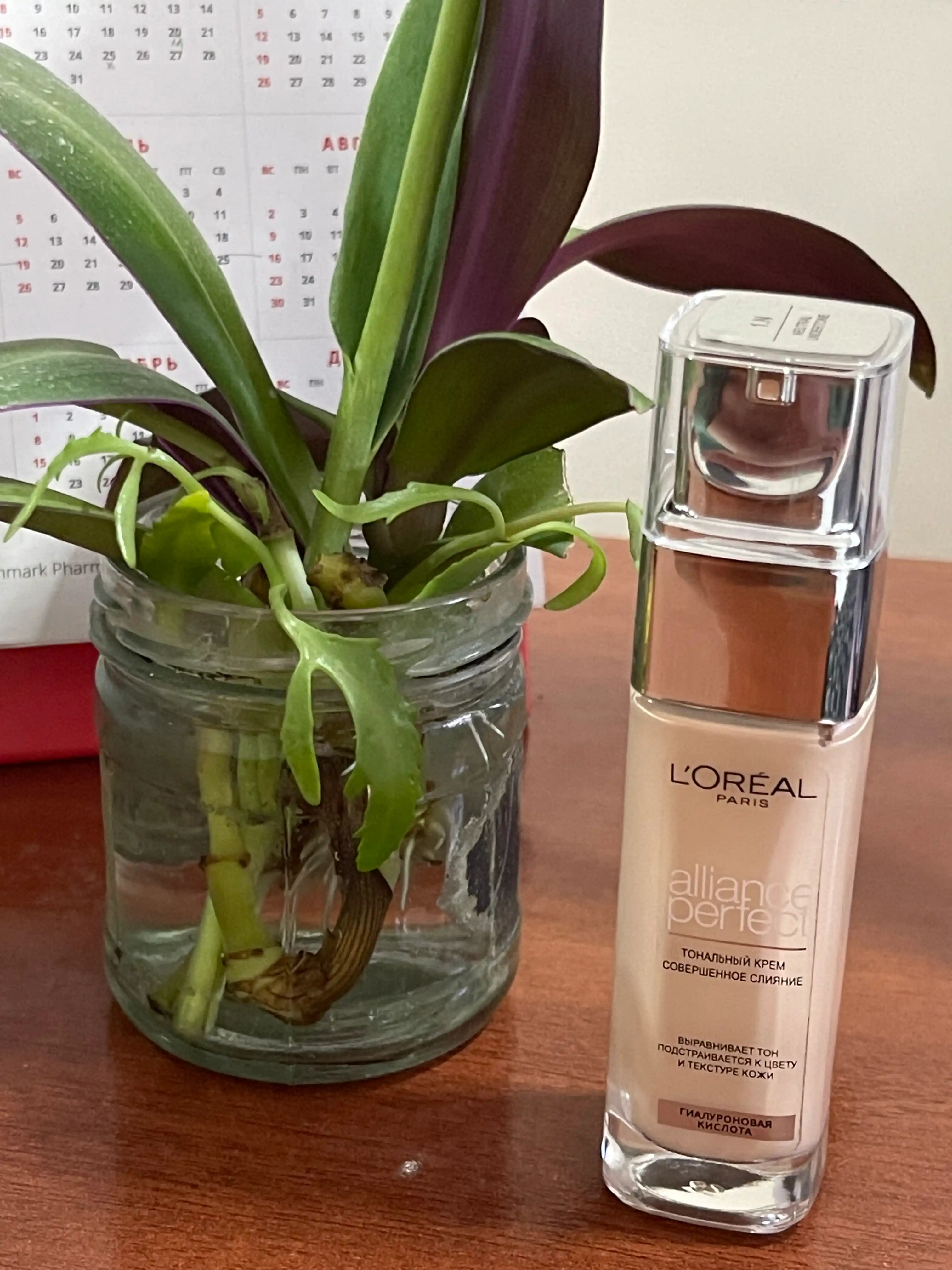 Tonal krem L'Oreal Paris Alliance Perfect, rangi N1 N2 N3, 30 ml