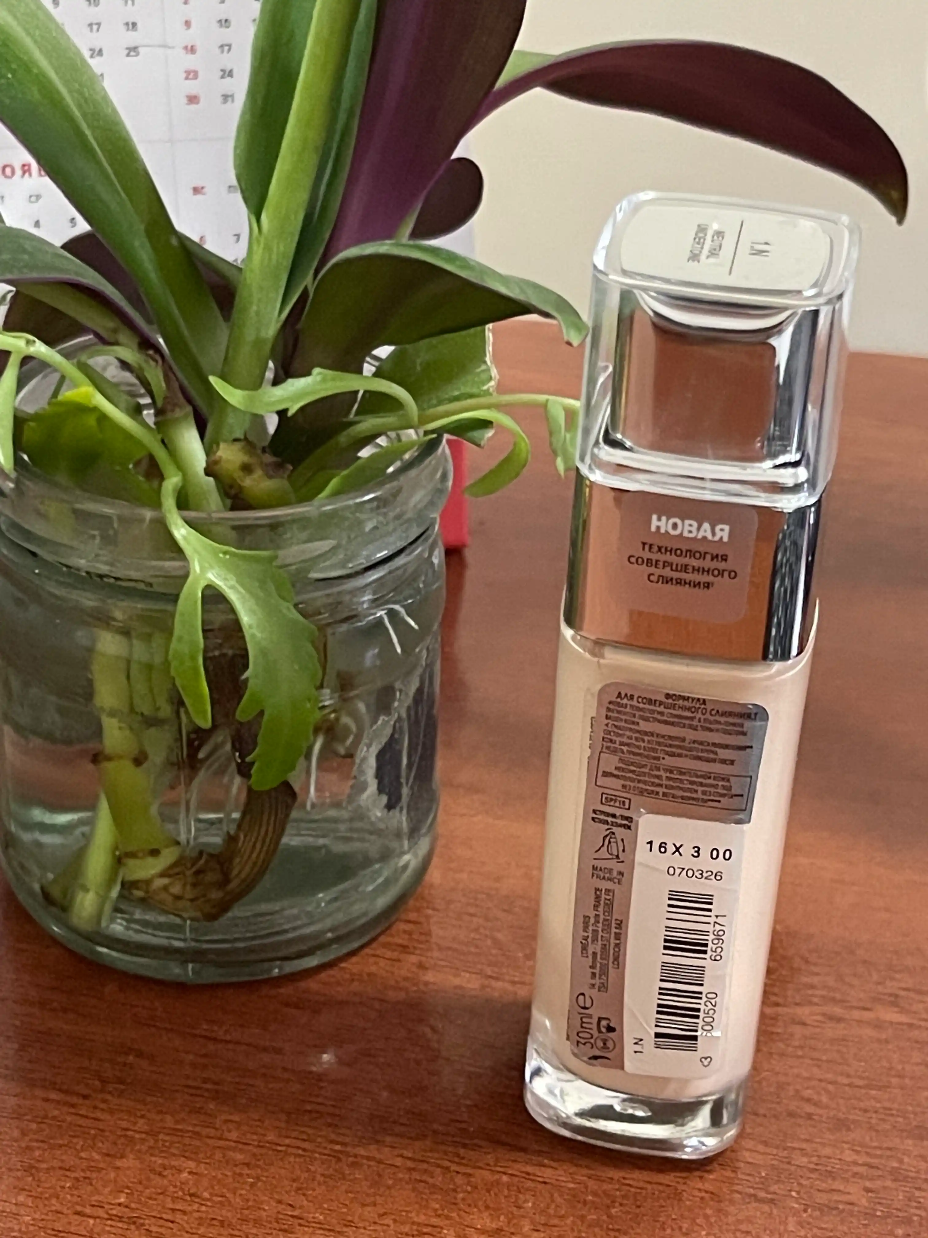 Tonal krem L'Oreal Paris Alliance Perfect, rangi N1 N2 N3, 30 ml