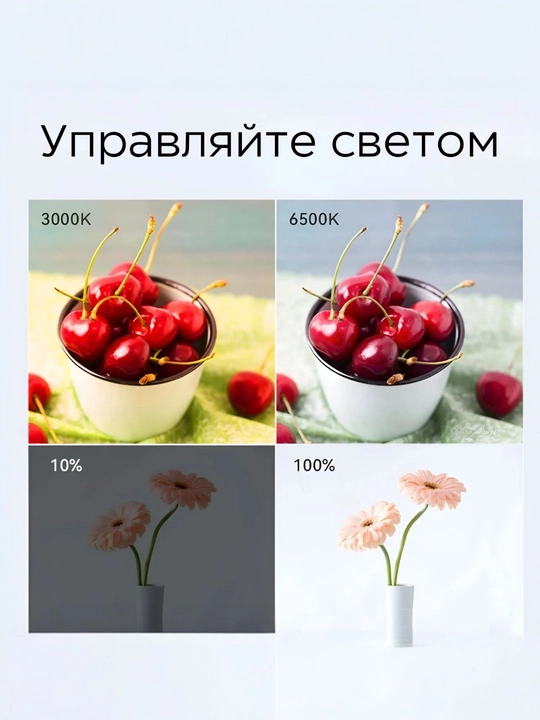 Светильник для фотостудии, с регулируемым цветом и уровнем освещения