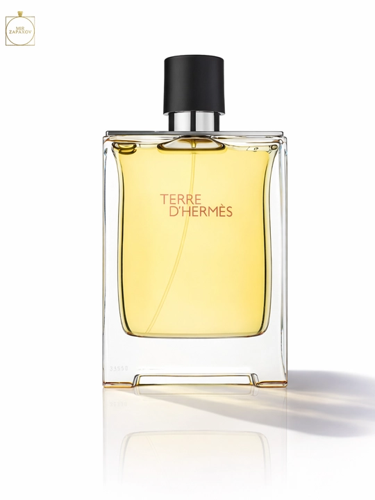 Erkaklar uchun xushbo'ylangan suv Hermes Terre d’Hermes 100 ml