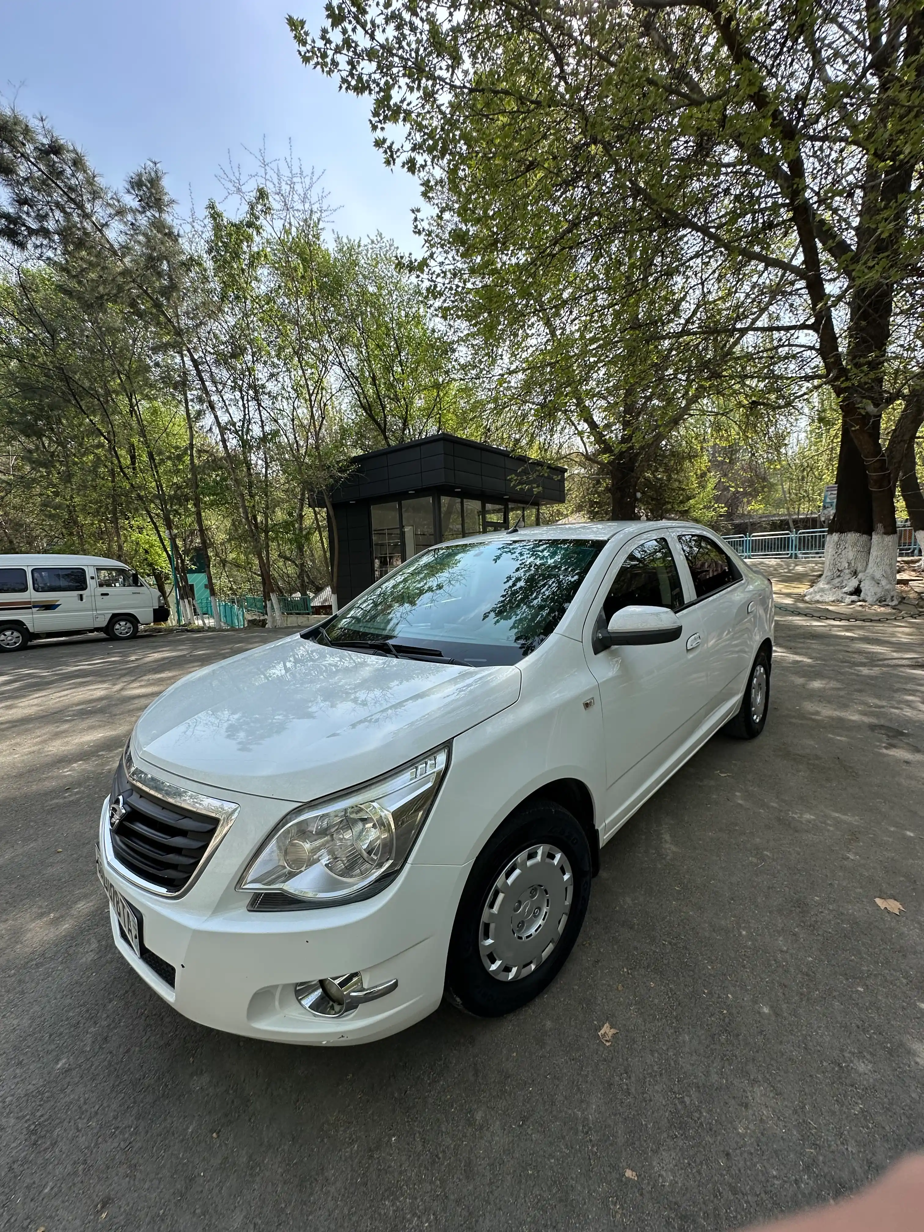 Автомобильный полироль DG Carnauba Car Wax, 200 г, на основе карнаубского воска