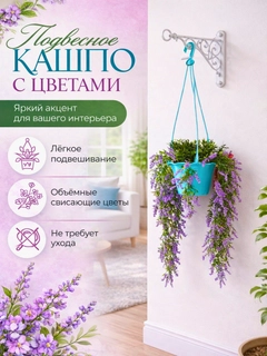 Lavanda