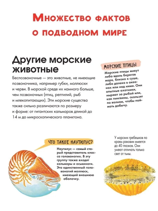 «Подводный мир», Энн МакРей, 31 стр., твёрдый переплёт