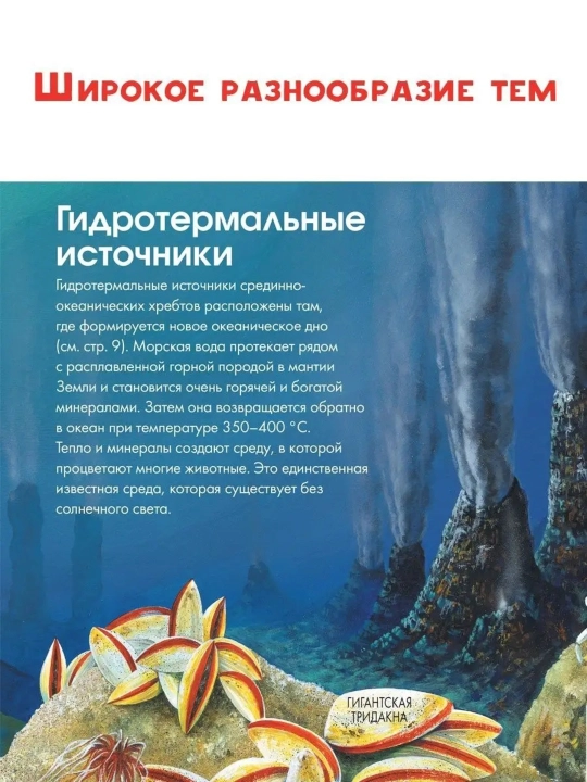 «Подводный мир», Энн МакРей, 31 стр., твёрдый переплёт