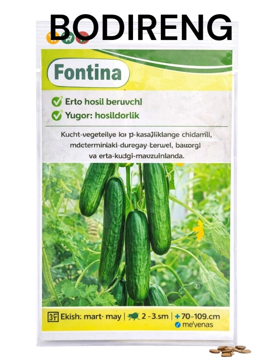 Fontina bodring urug‘i - 
