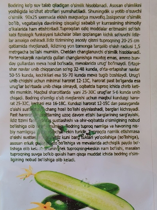 Fontina bodring urug‘i