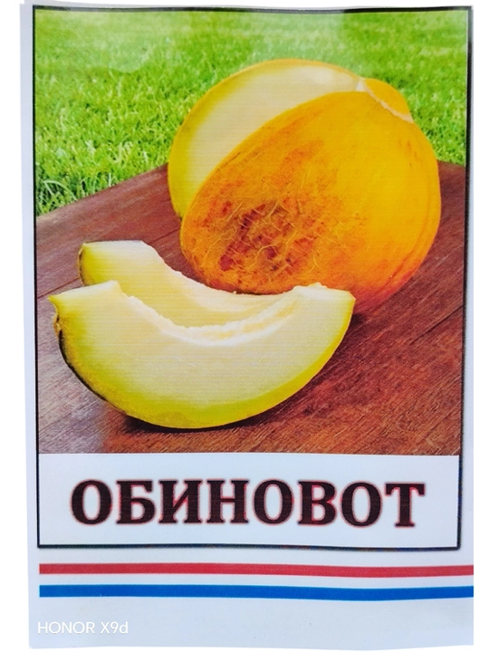 Obinovot qovun urug‘i, shirin va xushbo‘y, yuqori hosildor poliz navi