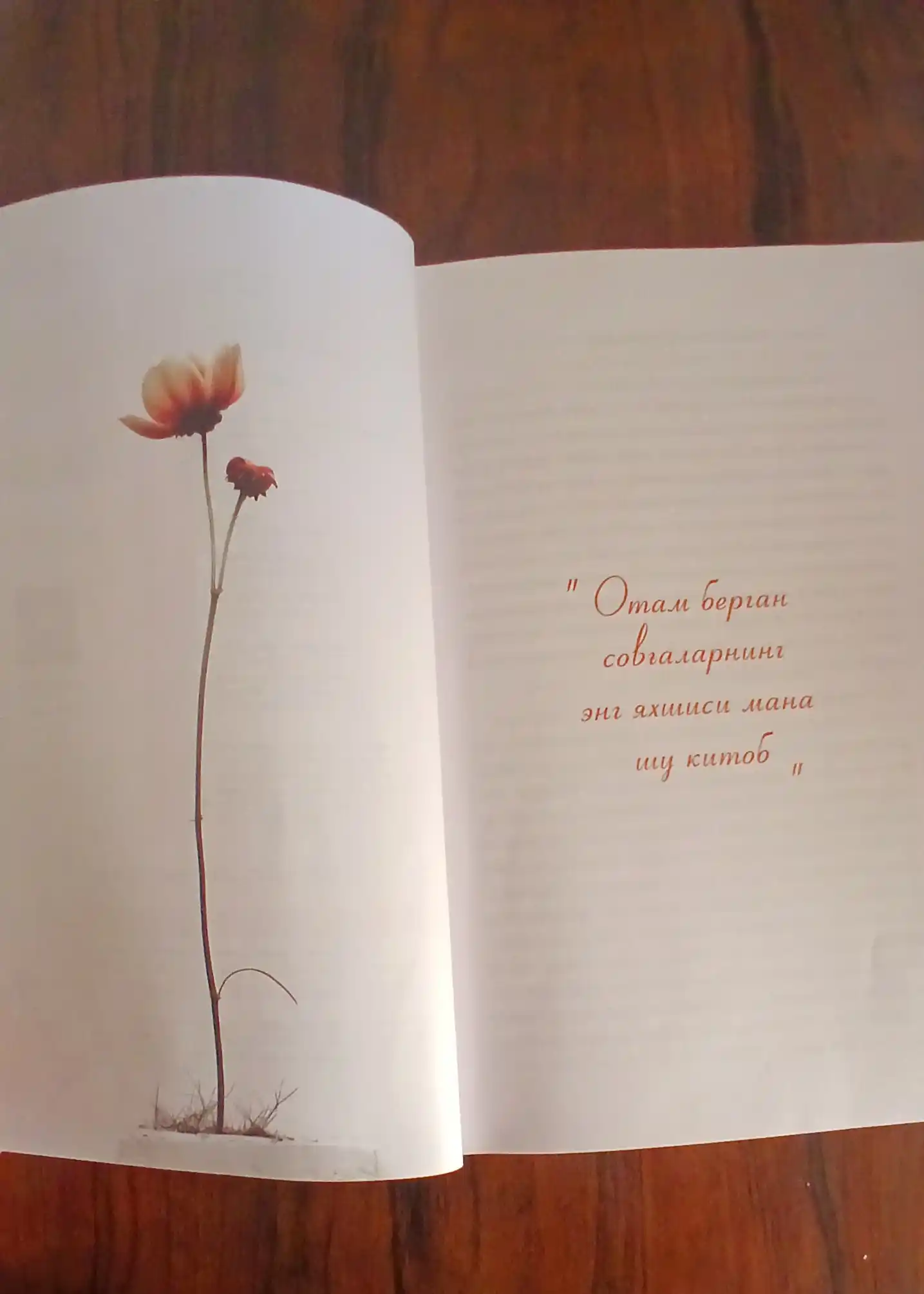 Қулоғим сенда қизим! Абдуллоҳ Абдулмутий, Ҳуда Саид Баҳлул