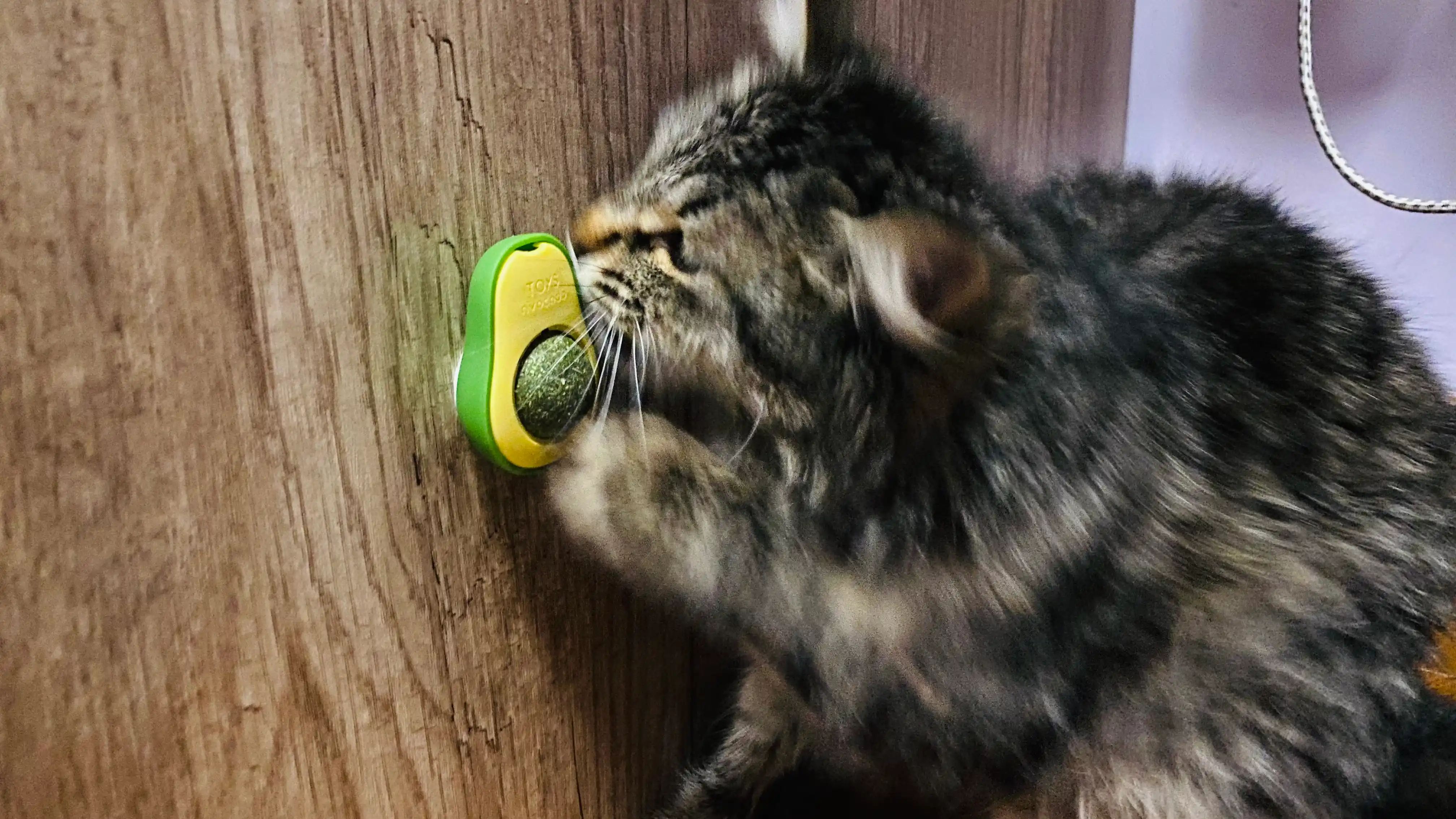 Шарик с кошачьей мятой на липучке, игрушка лизун для кошек