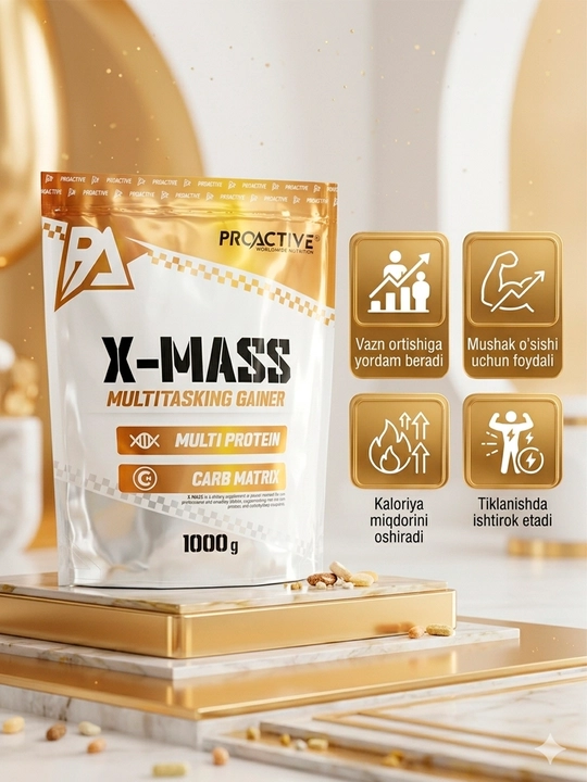 ProActive X-Mass со вкусом — углеводно-белковый гейнер для силы и массы - 