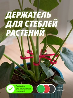 Алый