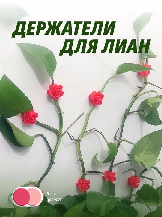 O‘simlik poyasi uchun tutqich - 
