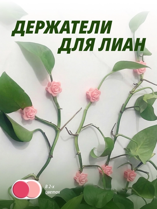O‘simlik poyasi uchun tutqich - 