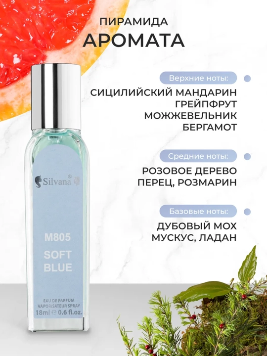 Parfyumlangan suv Light Blue pour Homme Dolce&Gabbana, Silvana №M805, 50ml