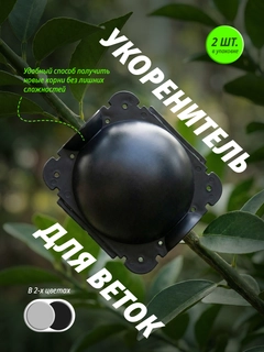 Черный
