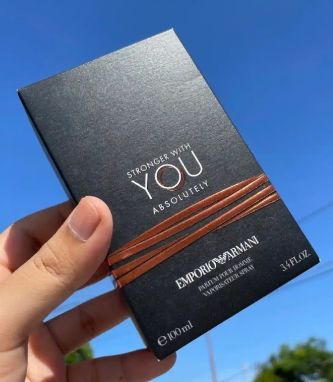 Мужские духи Giorgio Armani Stronger With You Absolutely, 100 мл