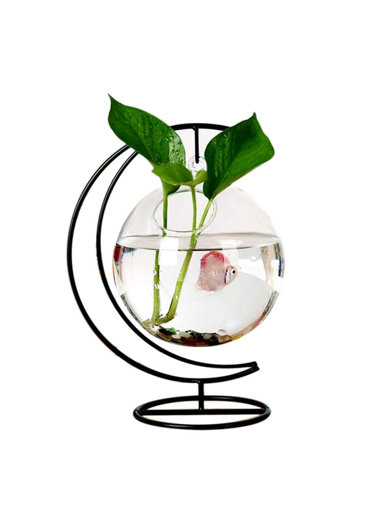 Florarium baliqlari akvariumi
