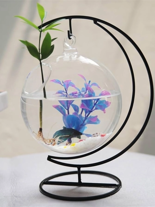 Florarium baliqlari akvariumi - 
