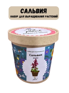 Индиго