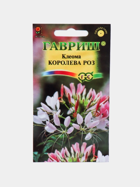 Gul urug'lari Coreopsis, Morning Glory, Moychechak, Aster, Verbena, chinnigullar, Dahlia
