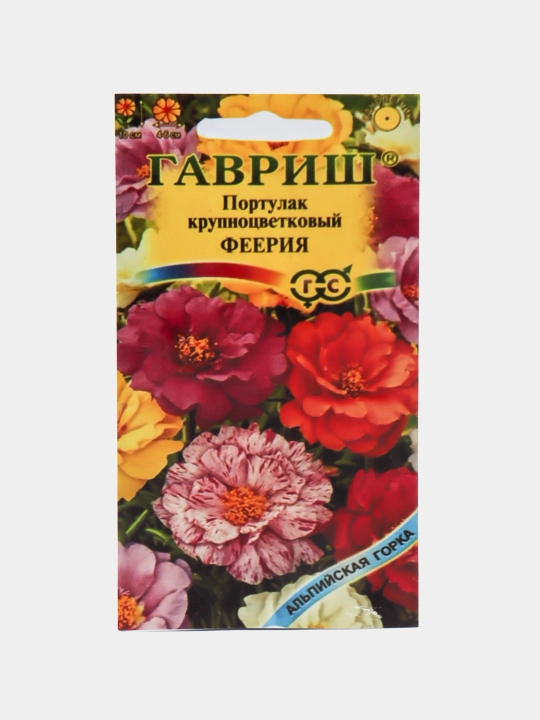 Gul urug'lari Coreopsis, Morning Glory, Moychechak, Aster, Verbena, chinnigullar, Dahlia