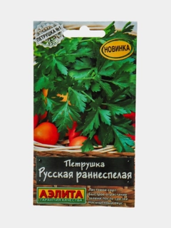 Индиго