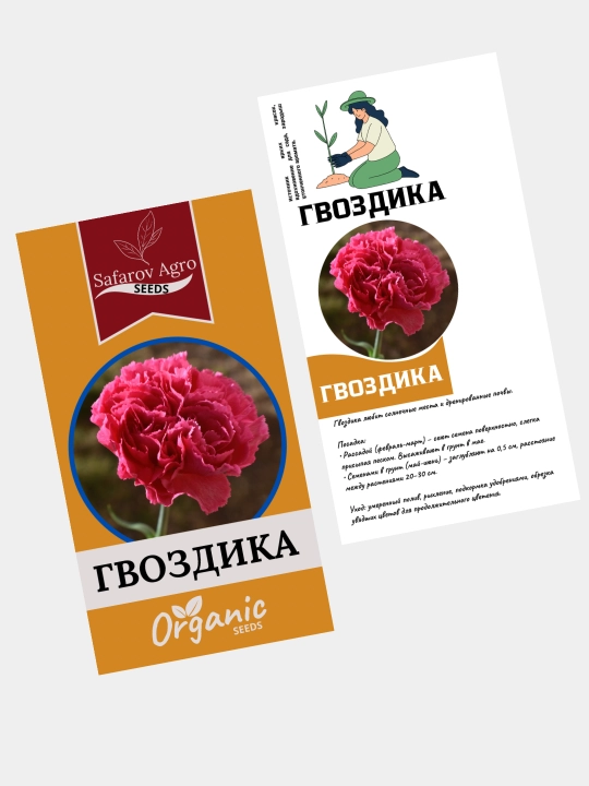 Sinnia, Portulak, Gvozdika, Cleoma, Georgina gullarining urug‘lari. Salviya