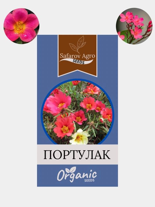 Семена цветов Цинния, Портулак, Гвоздика, Клеома, Георгина. Сальвия - 