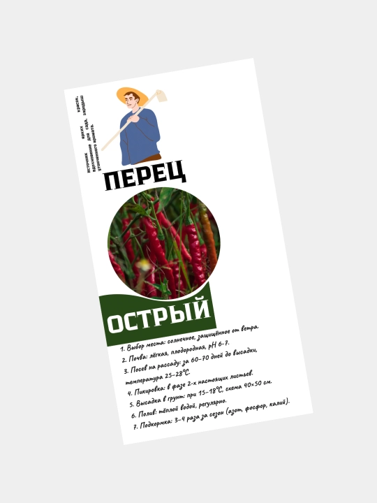 Семена острого перца