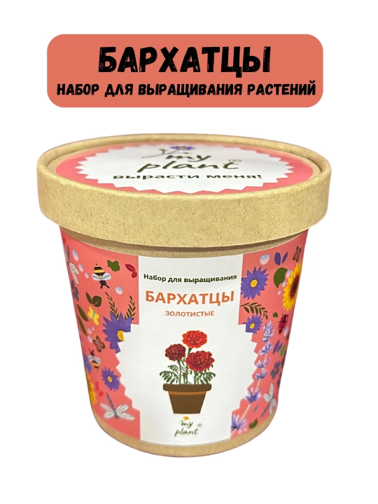 O'simliklarni etishtirish to'plami Happy Plants-Vyrasti sam tsvety - 